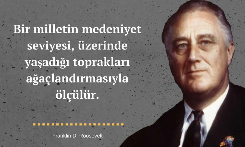 franklin de roosevelt sozleri orman sevgisi photoroom