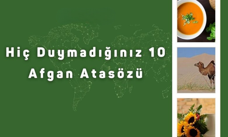 hic duymadiginiz 10 afgan atasozu 780x470 photoroom