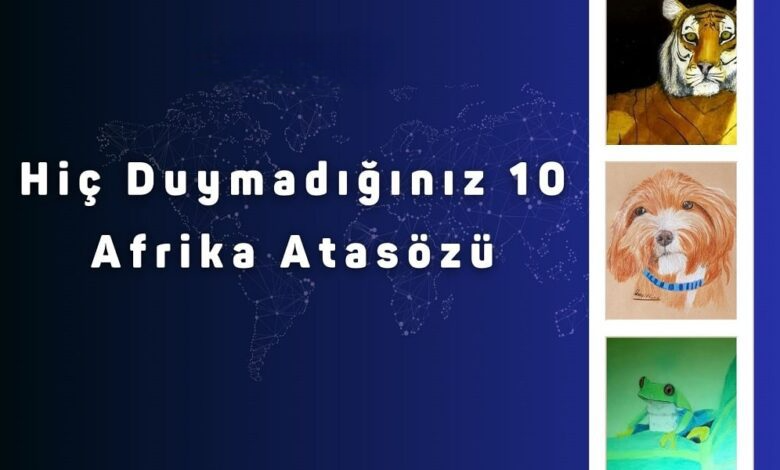 hic duymadiginiz 10 afrika atasozu 780x470 photoroom